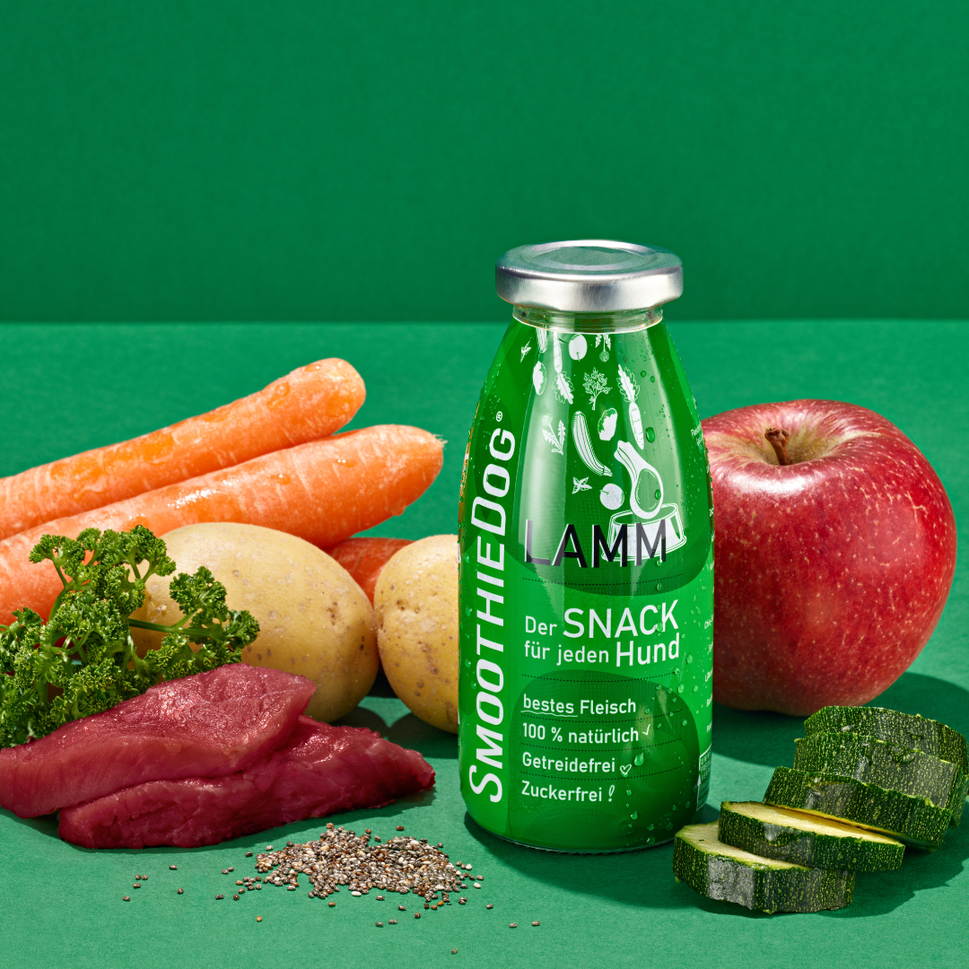 SmoothieDog – Hundesmoothie Lamm