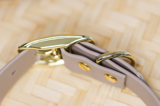 Butter Bloom – Biothane Halsband