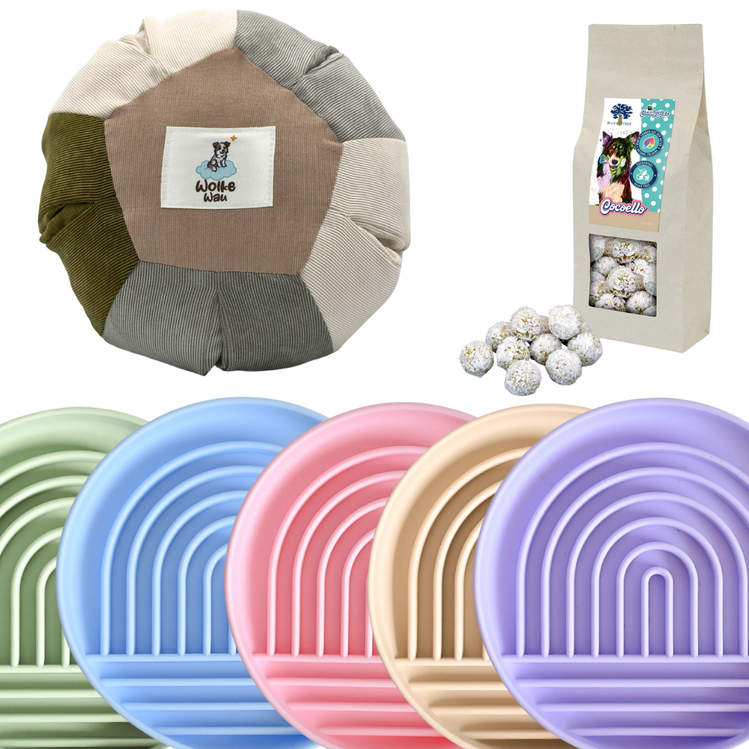 🌈 Starter-Bundle – Wolken-Spaß für deinen Hund