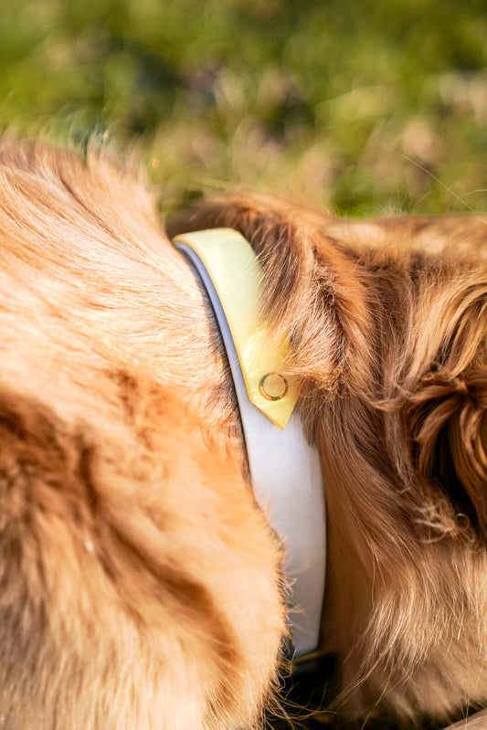 Cloud Breeze – Biothane Halsband