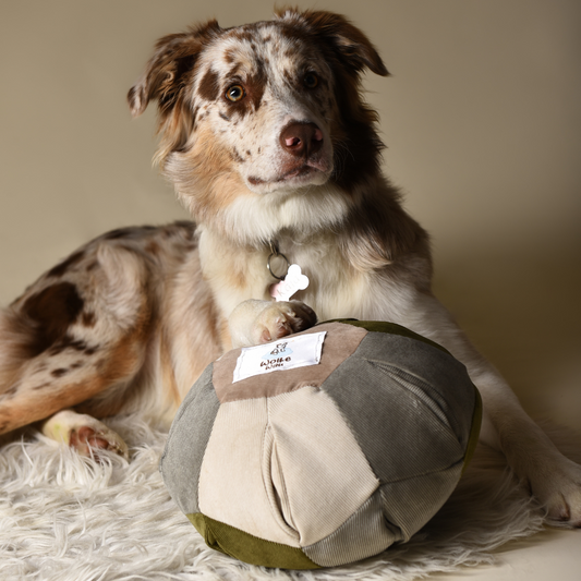 WAUnderball– Schnüffelspaß mit 10 Taschen