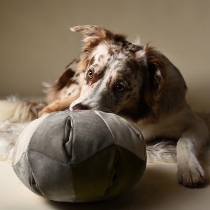 WAUnderball– Schnüffelspaß mit 10 Taschen