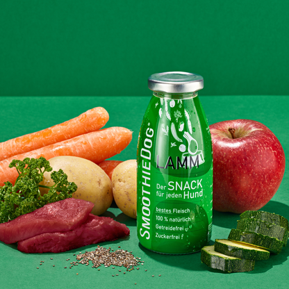 SmoothieDog – Hundesmoothie Lamm