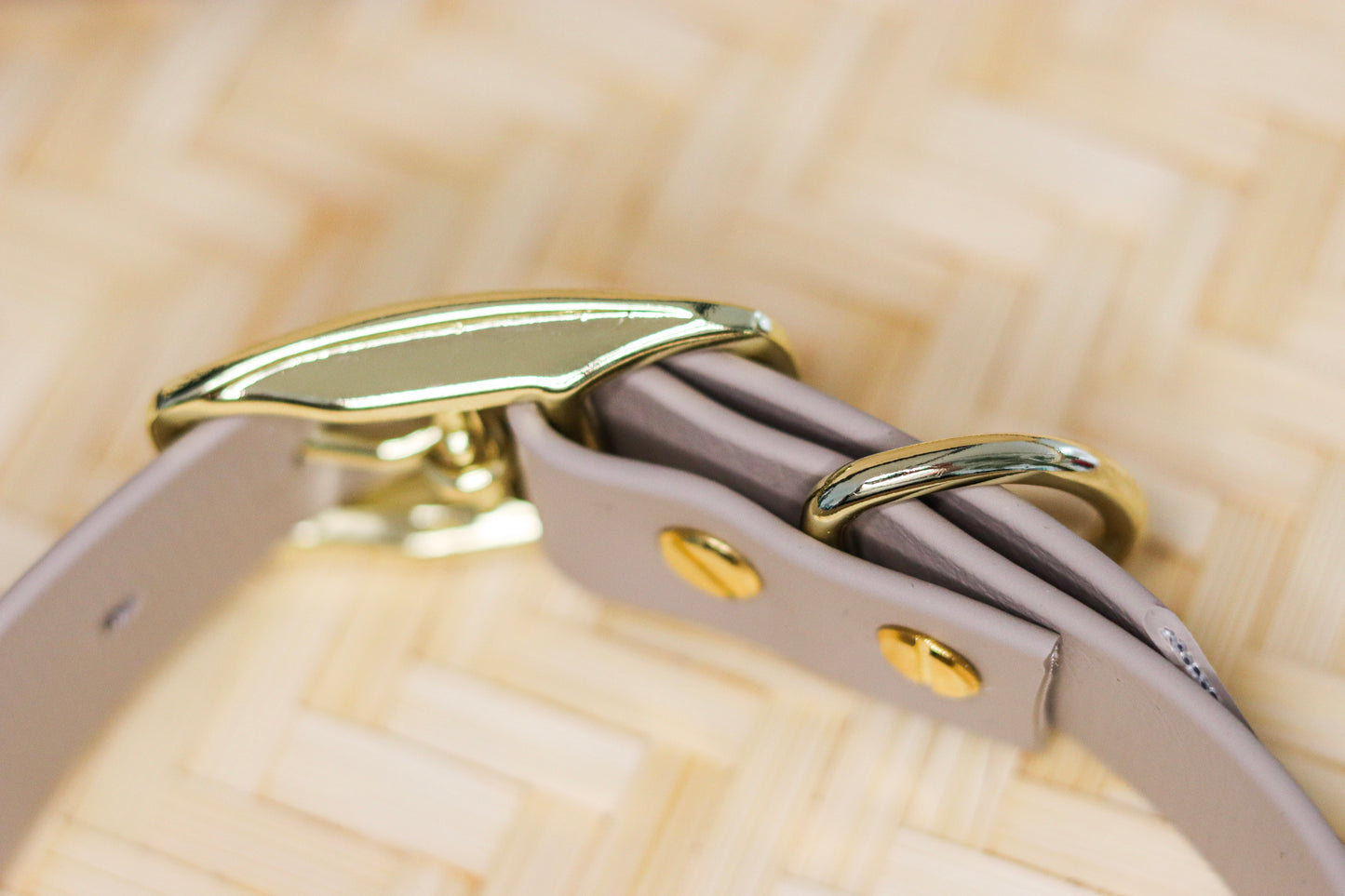 Butter Bloom – Biothane Halsband