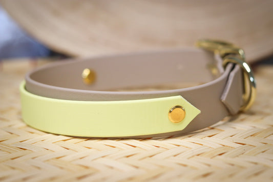 Butter Bloom – Biothane Halsband