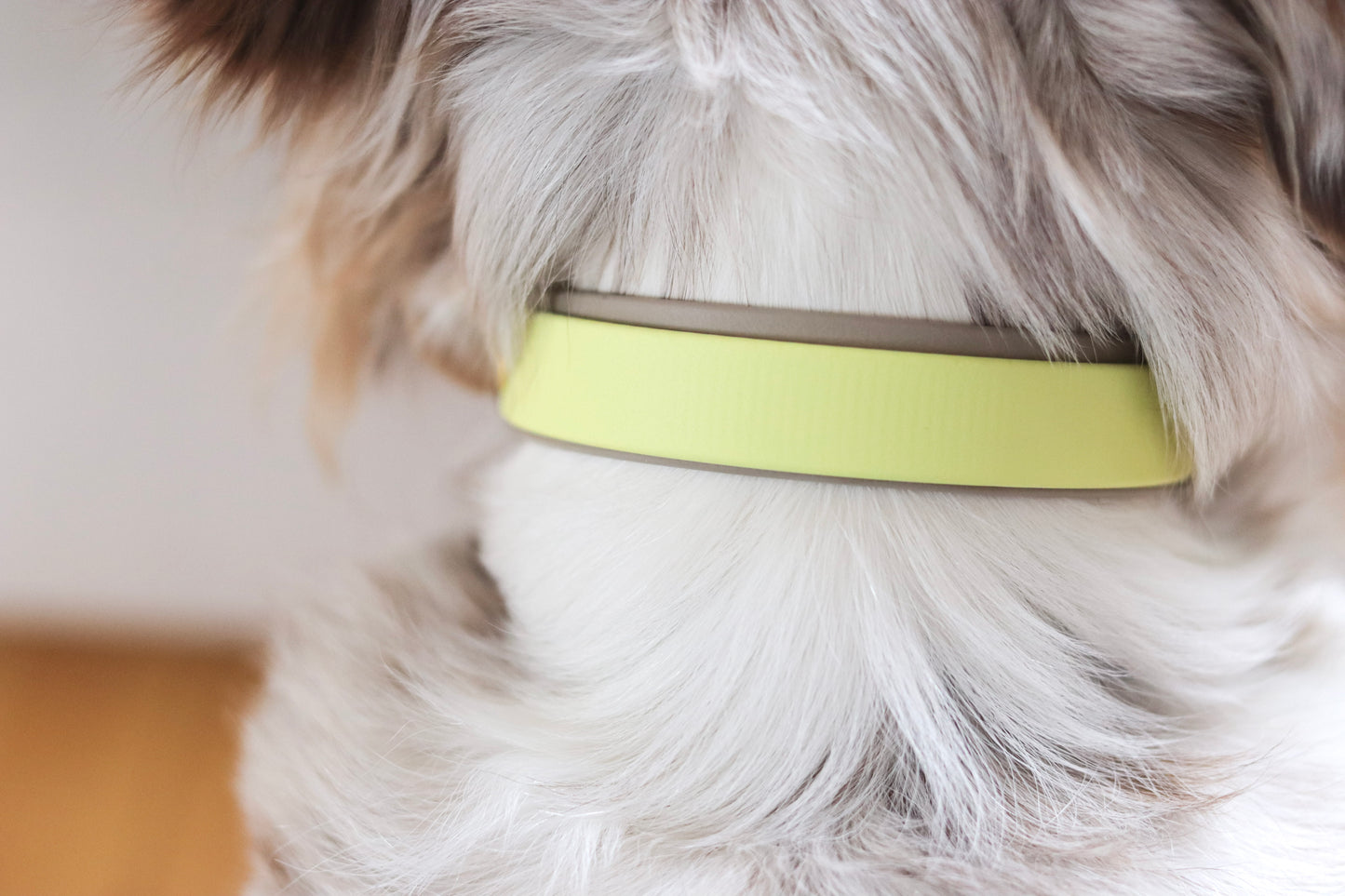 Butter Bloom – Biothane Halsband