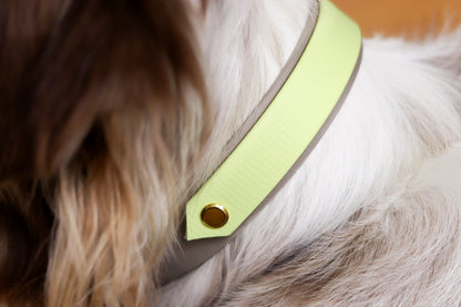 Butter Bloom – Biothane Halsband