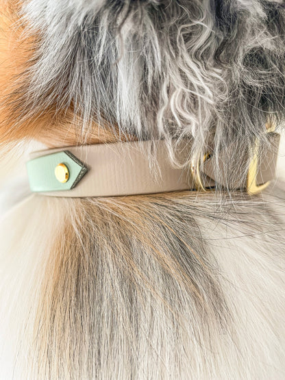 Cloud Moss - Biothane Halsband