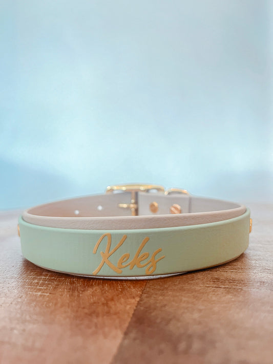 Cloud Moss - Biothane Halsband