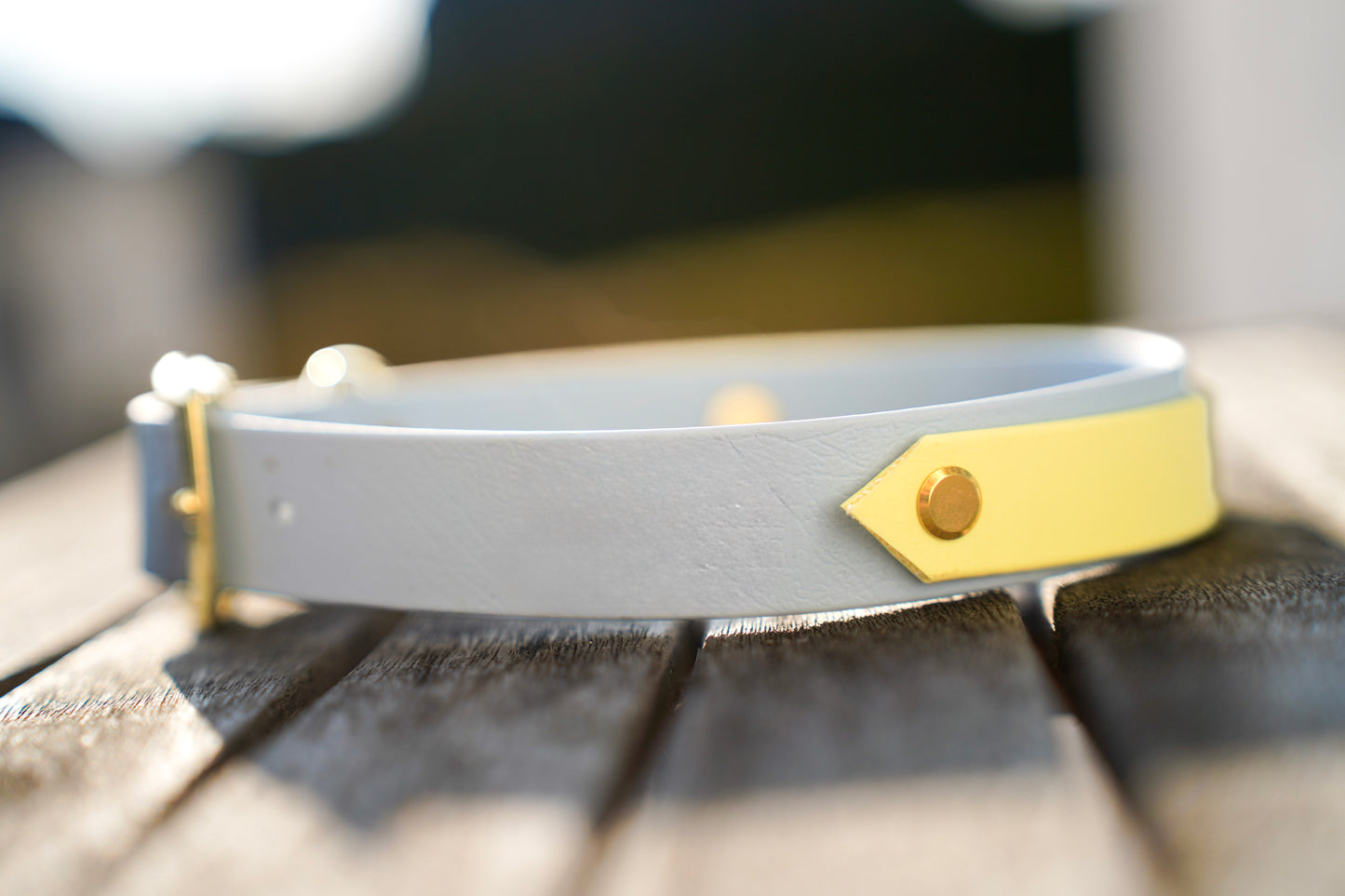 Cloud Breeze – Biothane Halsband