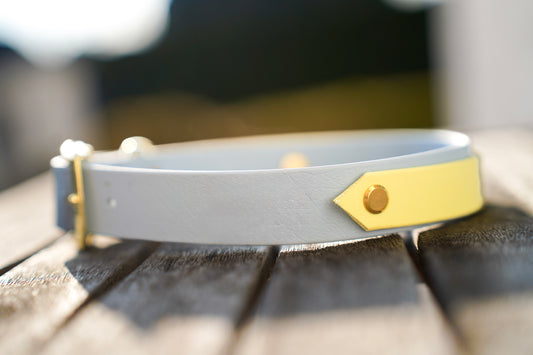 Cloud Breeze – Biothane Halsband